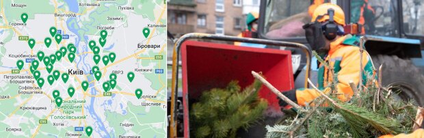 У Києві запрацювали 44 пункти прийому (утилізації) новорічних ялинок - адреси