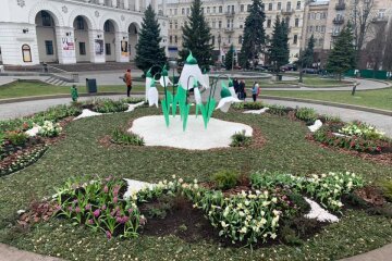 Айфон за клумбу: Шевченківська РДА обіцяє приз за кращий ландшафтний дизайн