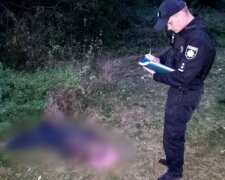 На Київщині виявили тіло чоловіка, що загинув від укусів шершнів