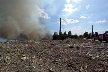 Київ у диму: пожежа на сміттєзвалищі перекинулась на торфовища (відео)