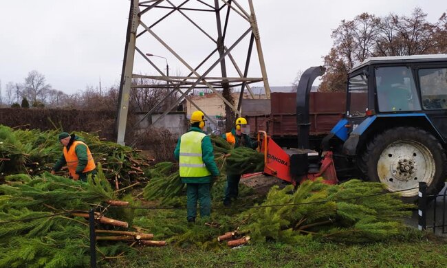В столиці утилізували ялинки, які кияни не купили на Новий рік