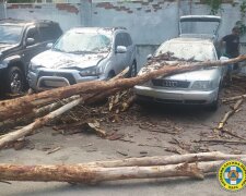 Київські рятувальники прибрали дерево, що впало внаслідок негоди на припарковані авто у Шевченківському районі