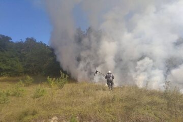 Через пожежі у Києві знов сильно забруднено повітря