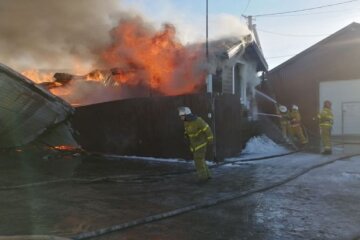 Під Києвом загорілася пилорама