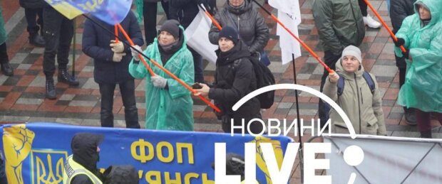 ФОПи зібралися під Верховною Радою: чого вимагають протестувальники