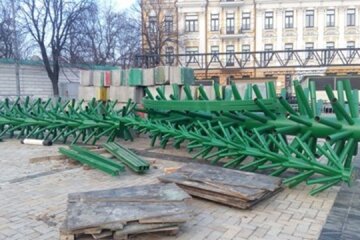 В Києві почали монтувати головну ялинку (фото)