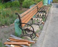У Києві пенсіонерка посеред білого дня розпиляла лавочку у дворі