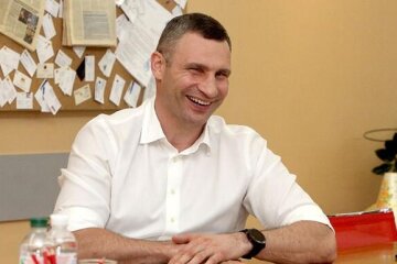 Мер Києва Віталій Кличко задекларував елітні будинки та поділ майна при розлученні