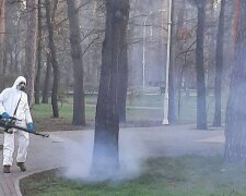 Сезон полювання на кліщів: у столиці знешкоджують паразитів на 114 гектарах зелених зон