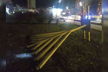 У Києві на Троєщині повалили Ханукію Це третій випадок в Україні за 3 дні