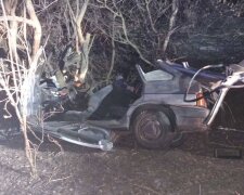 На Київщині автомобіль повністю розтрощило об дерево, загинув підліток