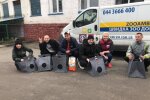 Кототерапія: в колонії під Києвом в`язні піклуватимуться про тварин