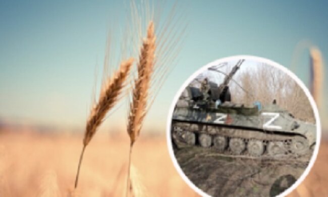 На Херсонщині окупанти чавлять танками і змішують із землею зерно