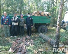 З Чорнобильської зони намагались 70 кг радіаційних грибів