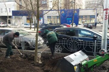 На проспекті Тичини висадили перші в цьому році клени