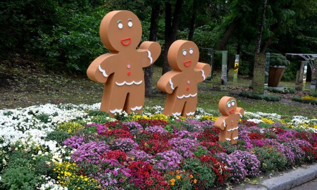 Зефір, шоколад, тістечка та льодяники з квітів: в Києві відкрилась виставка хризантем (фото)