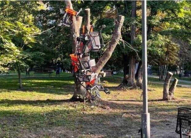“Дикунський флешмоб”: у Києві невідомі обвішують дерево візками з супермаркету