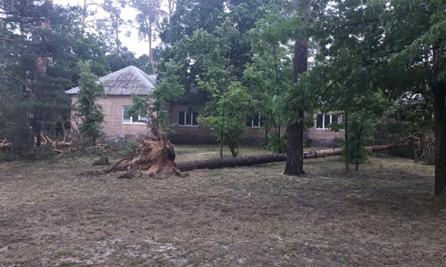 Потрощив дерева та дроти: під Києвом ураган накоїв лиха (фото, відео)