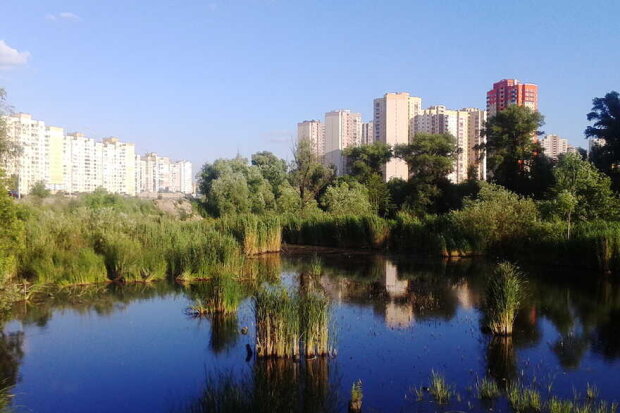 Висотки замість природи: у Києві збираються забудувати озеро Качине