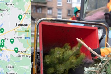 У Києві запрацювали 44 пункти прийому (утилізації) новорічних ялинок - адреси