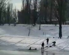 У столиці собака та дитина рятували одне одного після того, як провалились під лід на озері