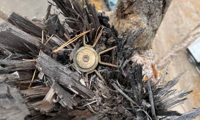 На Київщині відшукали снаряд, що не здетонував і застряг у кроні дерева