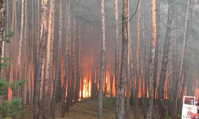 Після навчань на військовому полігоні на Харківщині запалали ліси