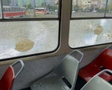 У Києві чоловік закидав трамвай камінням
