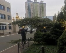 Наслідки вчорашньої негоди у Києві прибирають досі