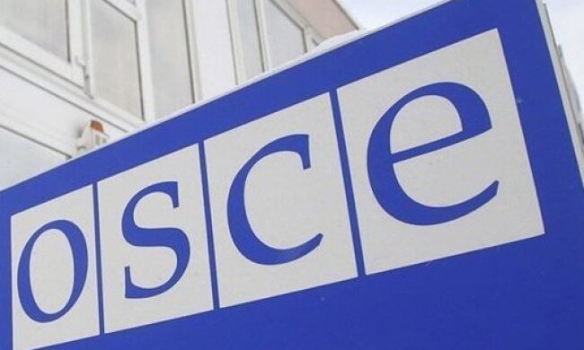 Комітет ОБСЄ прийняв резолюцію і закликав росіян вивести війська з Криму і Донбасу