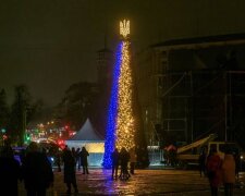 Новорічну ялинку на Софійській площі встановлять за кошти меценатів