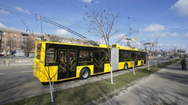 Пасажирам в Києві довелося штовхати тролейбус (відео)