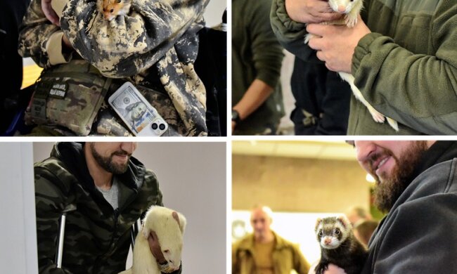 Зоотерапія для військових. Kyiv Zoo допомогли бійцям відволіктись спілкуванням з хом'яками, пацюками і тхорами