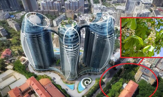 У Києві біля елітного ЖК Taryan Towers бізнесмена Артура Мхітаряна знищили десятки каштанів