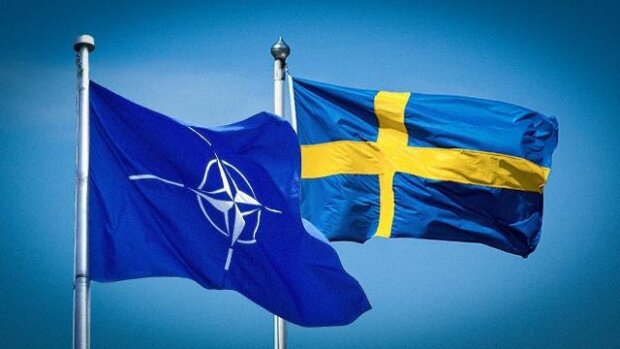 Фінляндія і Швеція готові приєднатися до НАТО, – Держдеп про заяву Ердогана