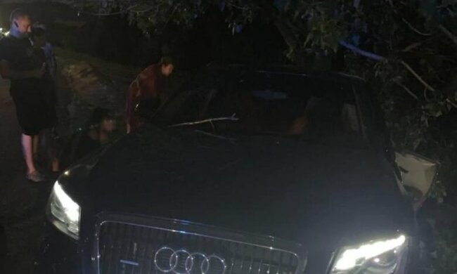 Водійка Audi ледь не збила людей та влетіла в дерево: у неї знайшли посвідчення судді