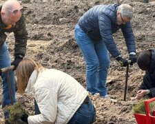 Нове життя лісу: у Дарницькому лісництві висадили тисячі дерев на місці прильоту