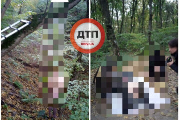 У Києві в Голосіївському парку знайшли оголений повішений труп
