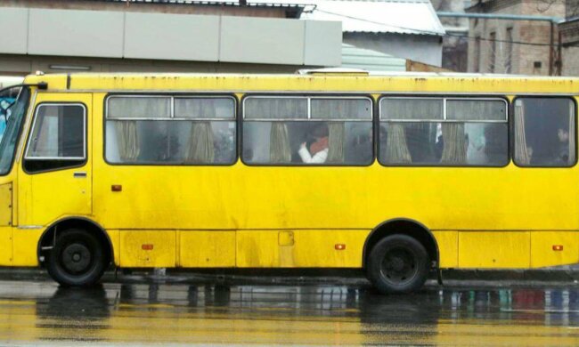 У столиці посилюють нагляд за приватними перевізниками: Департамент промисловості реагує на скарги киян щодо якості послуг