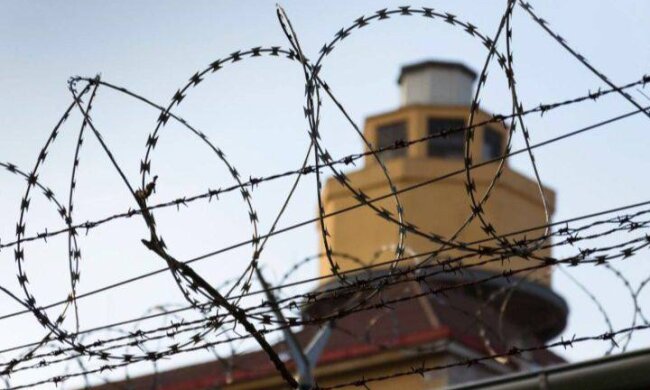 Свідчення звірств: Україна повернула тіла 375 загиблих у полоні з ознаками систематичних катувань та виснаження