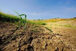 Опустелювання загрожує щонайменше 39 мільйонам гектарів українських сільськогосподарських земель