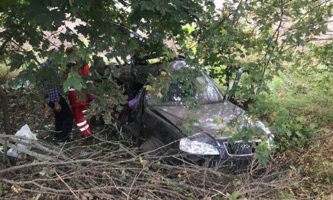 На Київщині в аварії загинули троє пенсіонерів