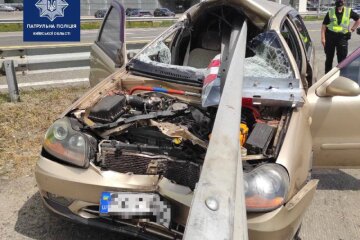 Як м’ясо на шампур: під Києвом авто нанизалося на відбійник