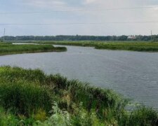 В Бучанському районі виявлено забруднення води у річці Здвиж