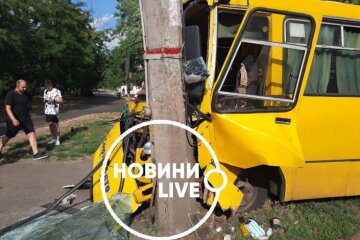 На Воскресенці маршрутка врізалася в стовп