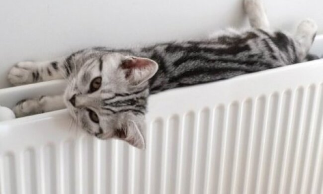 Невдовзі почнеться опалювальний сезон: в КМДА назвали точну дату