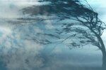 У Києві оголошено штормове попередження