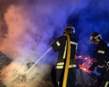 В останній день літа ДСНС Київщини ліквідували 31 пожежу в природних екосистемах області