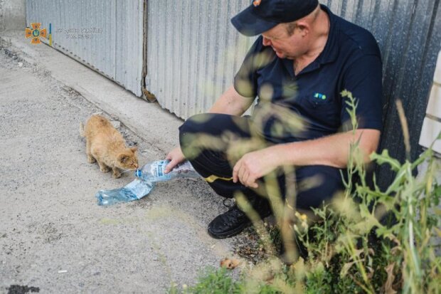 Рятувальник з Києва напоїв кота після пожежі та розчулив мережу