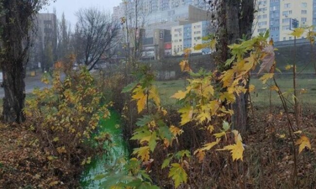Вода в столичній річці Дарниця позеленіла: з чим це пов’язано